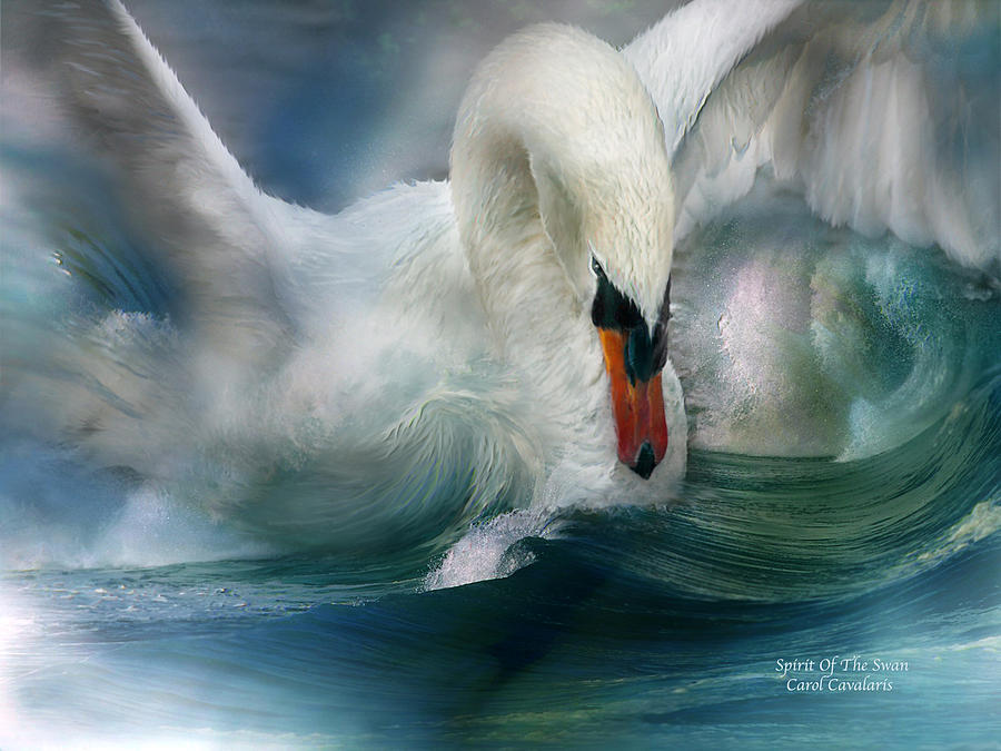 Spirit Of The Swan Mixed Media by Carol Cavalaris