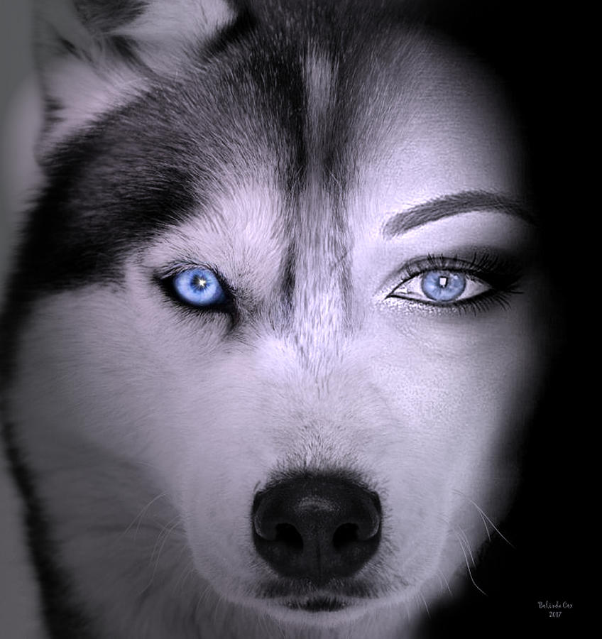 Spirit of the Wolf Digital Art by Artful Oasis