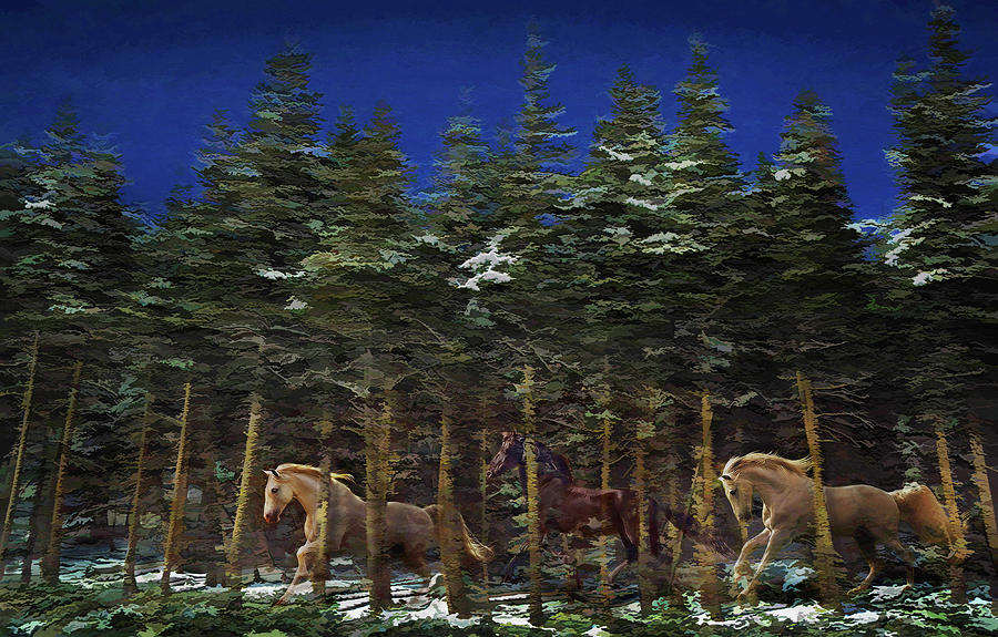 Grey Horses Photograph - Spirits of the Forest by Melinda Hughes-Berland