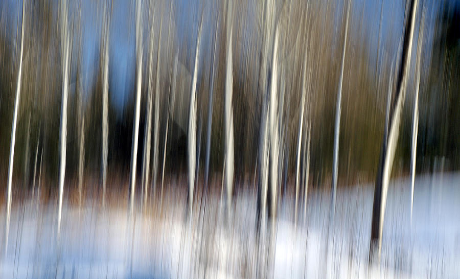 Abstract Impressionism Photograph - Spirits of Winter by Bill Morgenstern