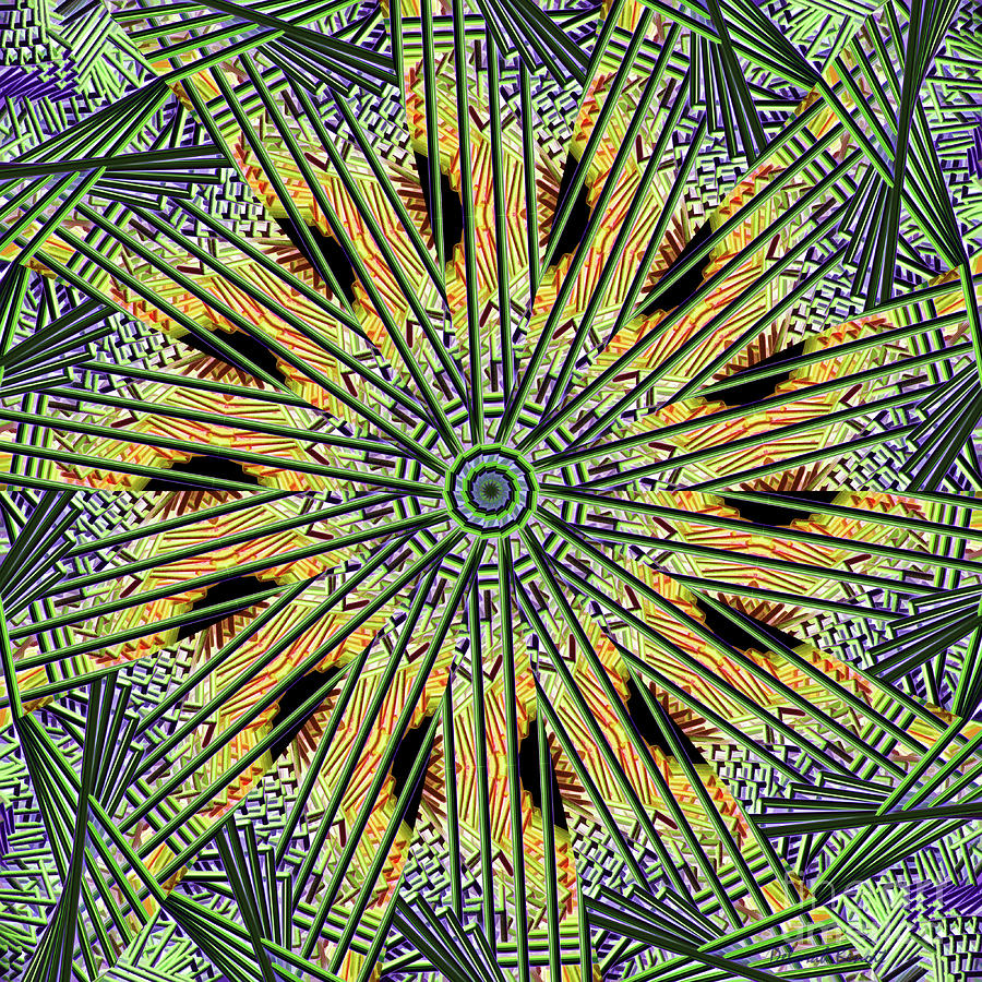 Spiritual Kaleidoscope Digital Art by Deborah Benoit