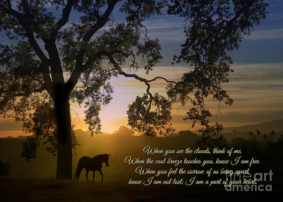 Spiritual Memorial Poem, Horse and Oak Tree Photograph by Stephanie Laird