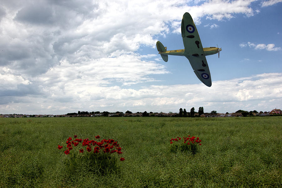Poppy Photograph - Spitfire            by Thanet Photos