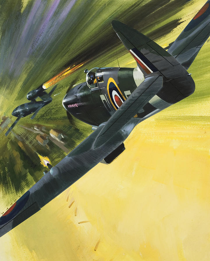 Spitfire and Doodle Bug Painting by Wilf Hardy