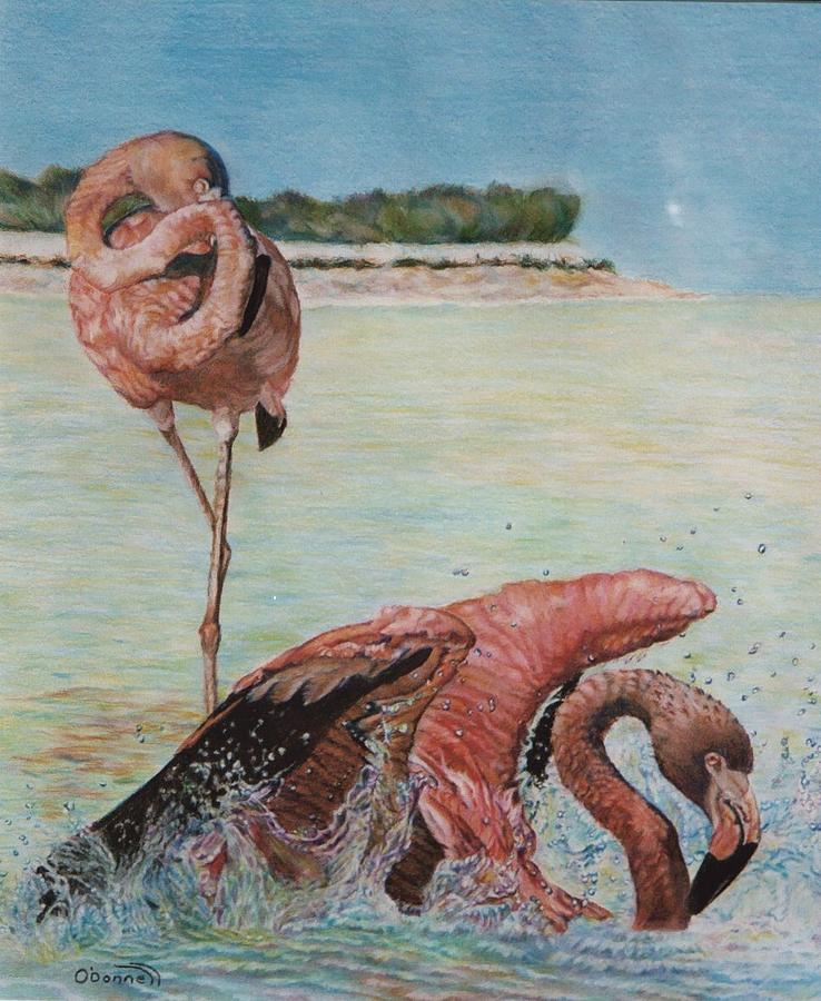 Flamingo Painting - Splash Down by Bonnie ODonnell  