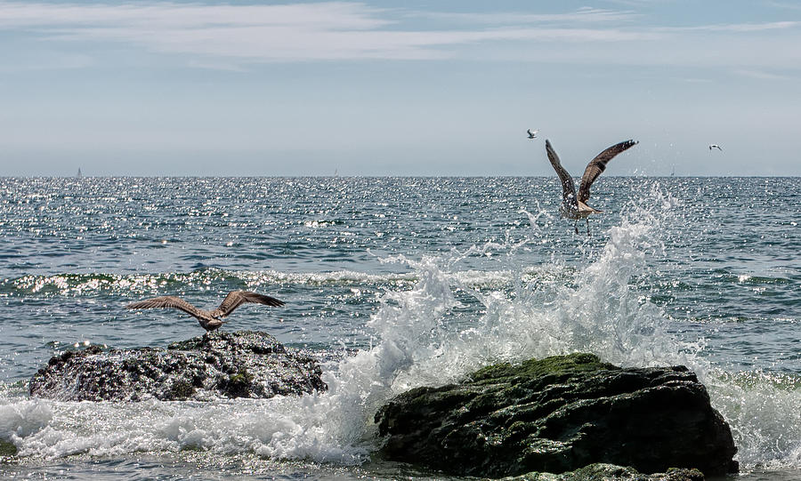 Beach Photograph - Splash Down by John Hoey