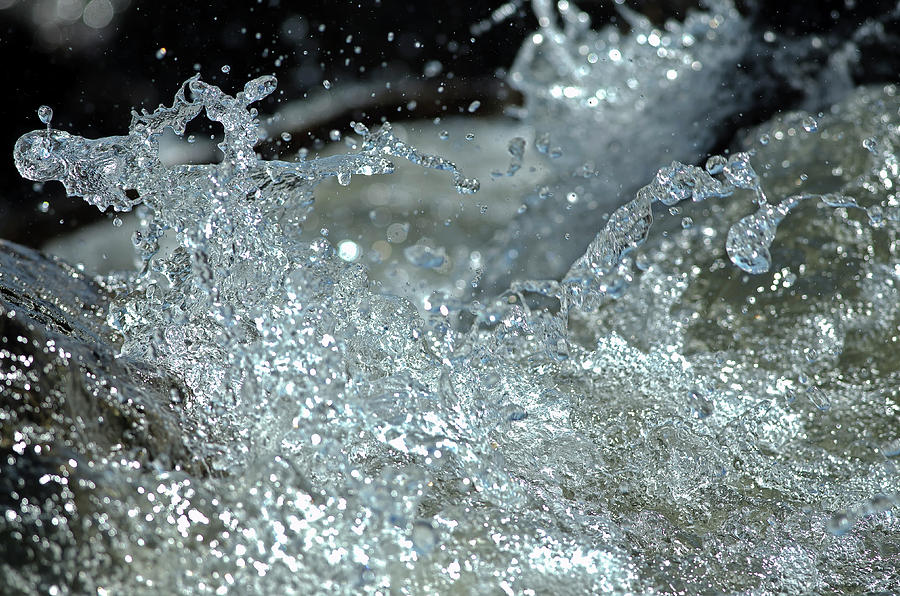 Splash Photograph by JT Lewis