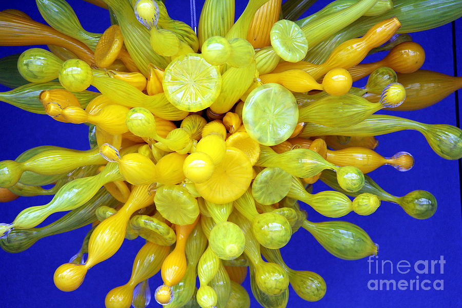 Splash Of Citrus Photograph by Jody Frankel 