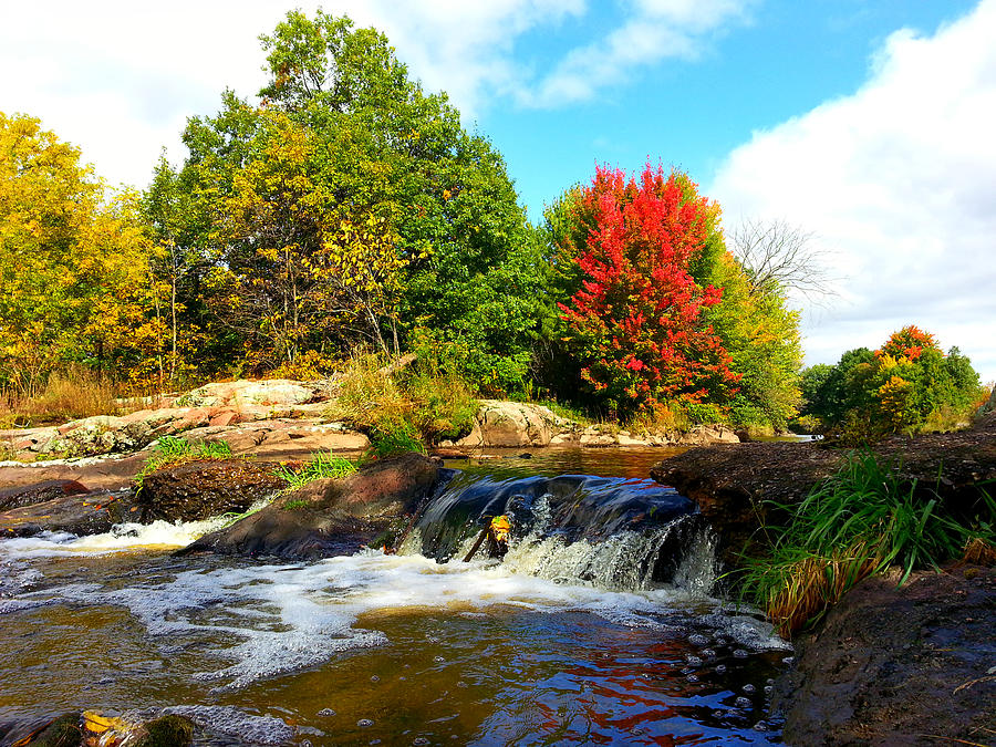 Splash of Color at hemlock Creek Photograph by Brook Burling