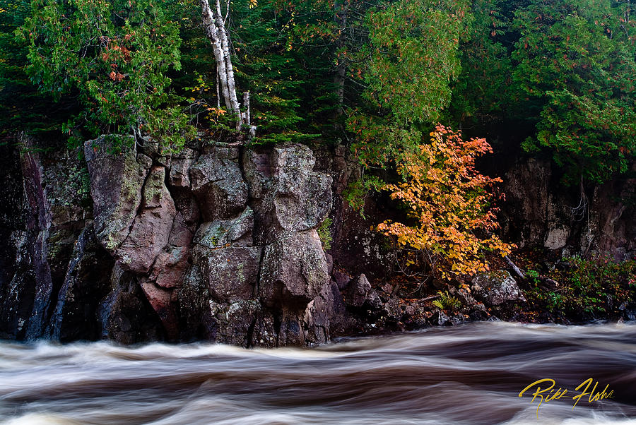 Splash of Fall Color Photograph by Rikk Flohr