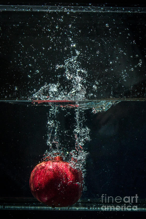 Cool Photograph - Splash Of Pomegranate  by Marj Dubeau