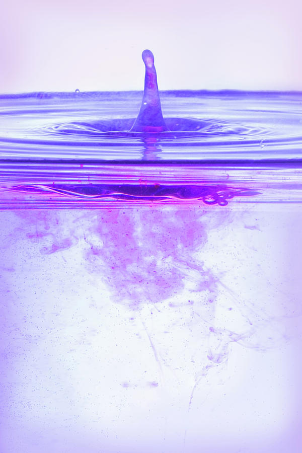 Splash of Purple Photograph by Elvira Pinkhas