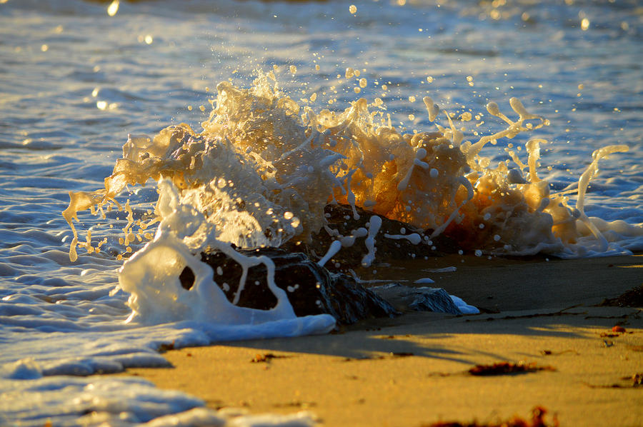 Splash of Summer - Cape Cod National Seashore Photograph by Dianne Cowen Cape Cod Photography