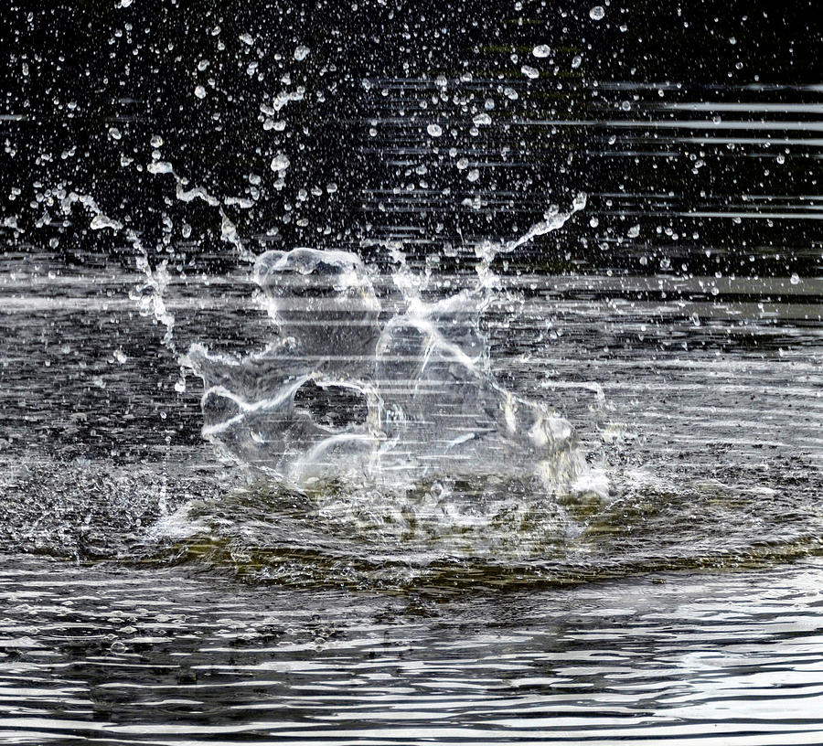 Splash Photograph by Pam Kaster