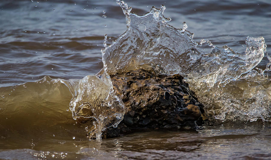 Splash Photograph by Ray Congrove