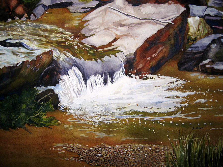 Splash Painting by Shirley Braithwaite Hunt