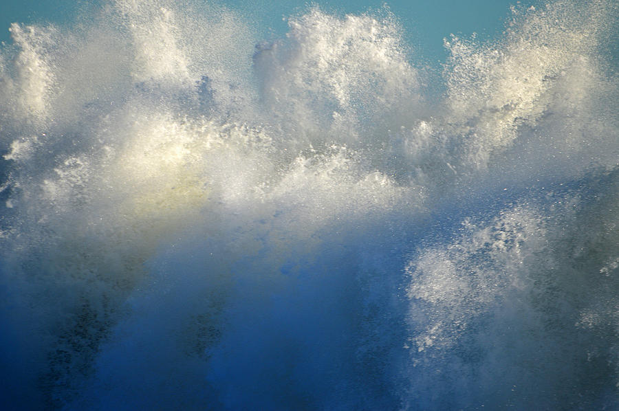 Splash Up  Photograph by Dianne Cowen Cape Cod Photography