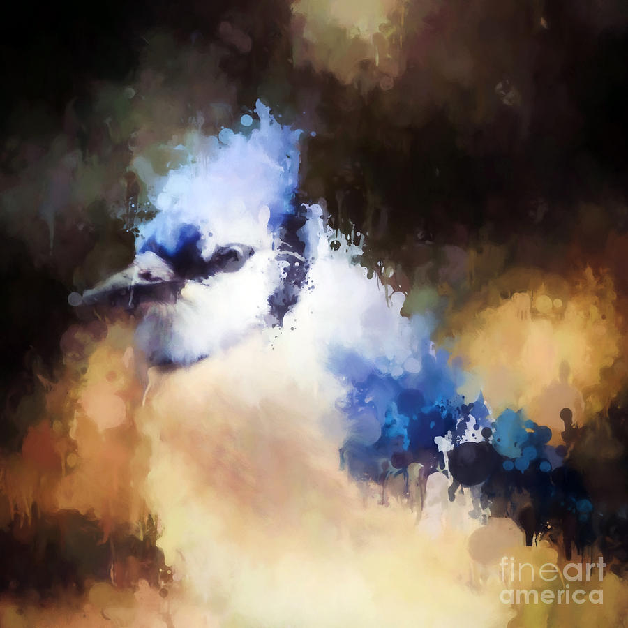 Splatter Art - Blue Jay Photograph by Kerri Farley