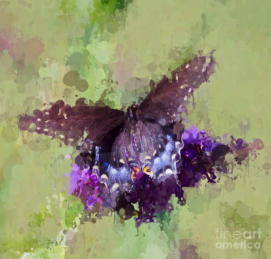 Splatter Art - Butterfly Photograph by Kerri Farley