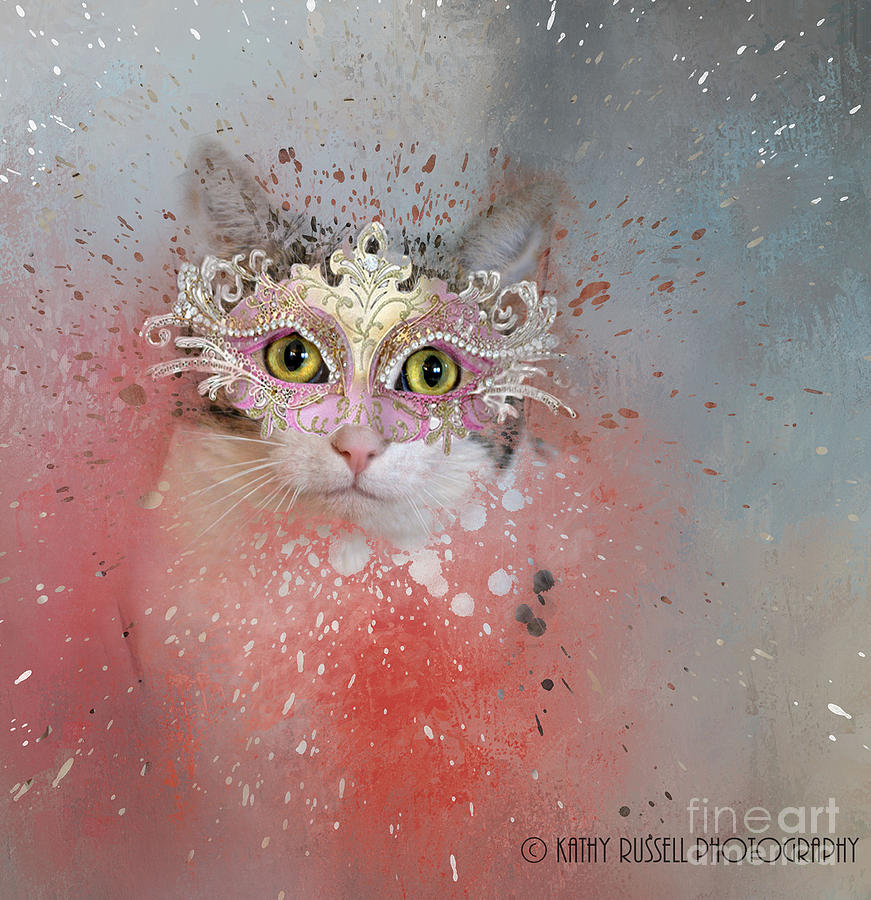 Splatter Kitty Photograph by Kathy Russell