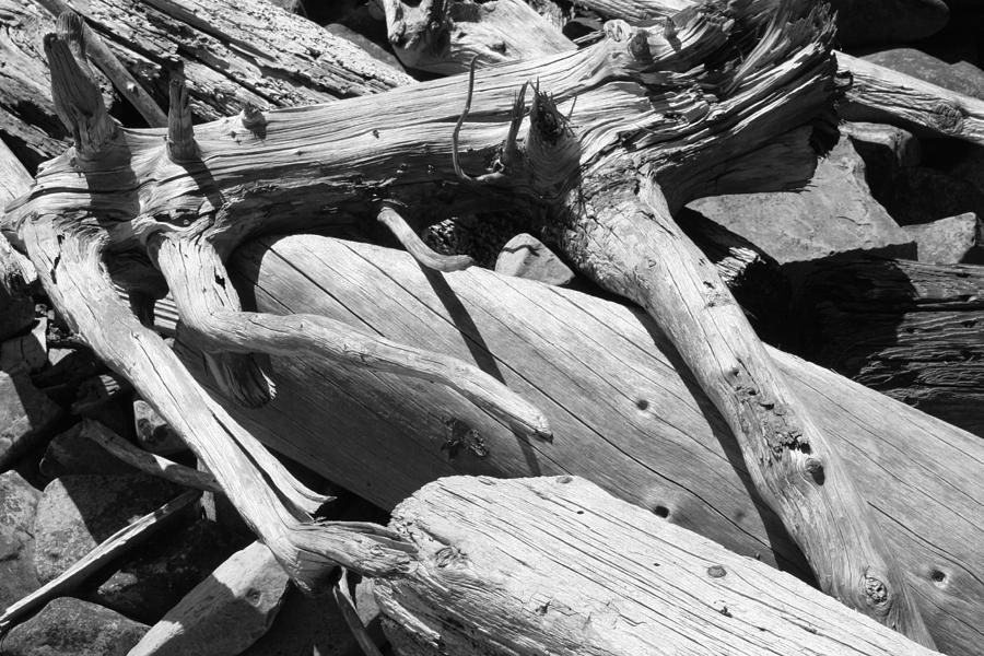 Splayed Driftwood Photograph by Polly Castor