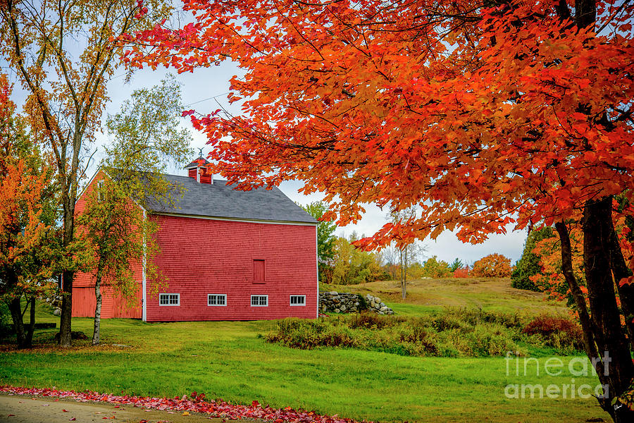 Splendid Red Barn in the Fall Photograph by Alana Ranney