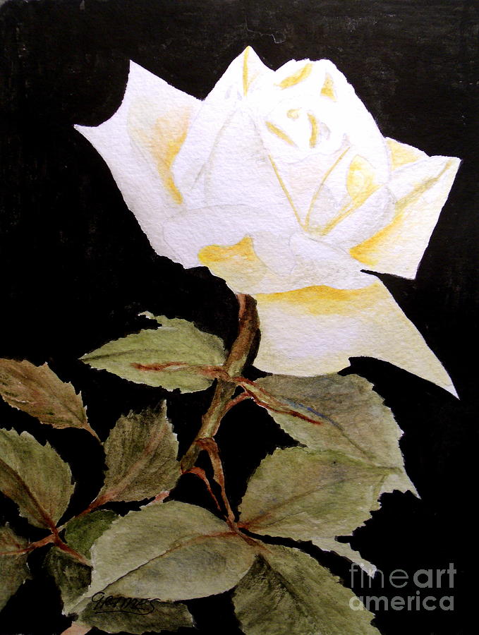 Splender in White Painting by Carol Grimes