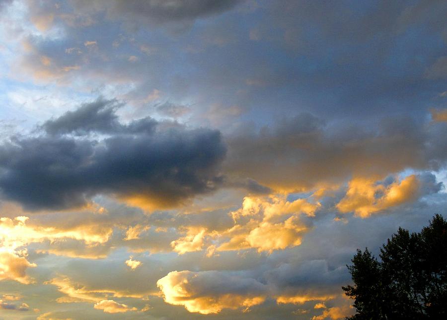 Splendid Cloudscape 1 Photograph by Will Borden