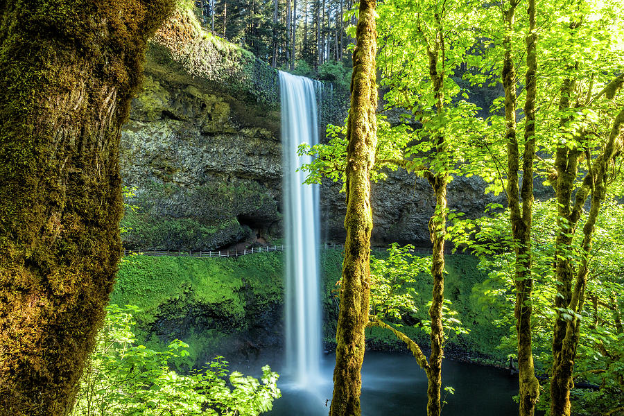 Splendor at South Falls by Belinda Greb Splendor at South Falls by Belinda Greb