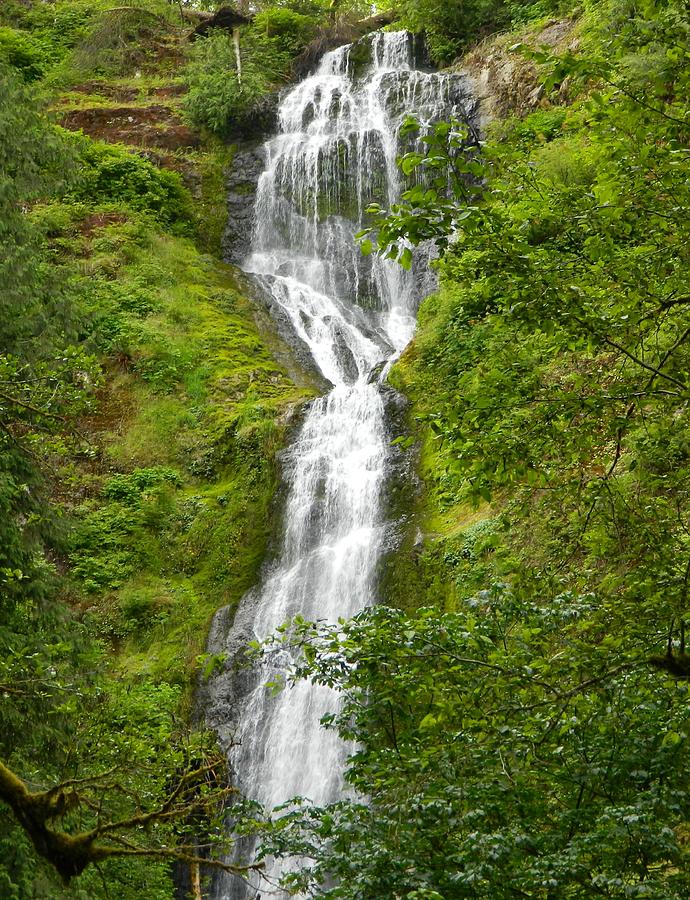 Splendor of Munson Creek Falls Photograph by Gallery Of Hope 