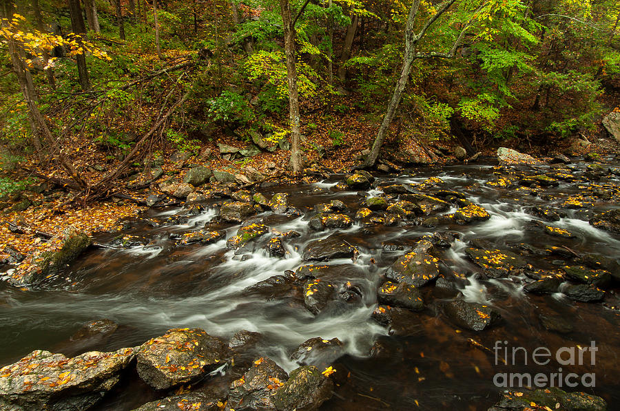 Splintering the Waters - Autumn River in New England Photograph by JG Coleman