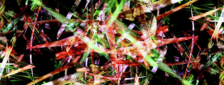 Abstract Digital Art - Splinters Dark by Sergio Caggia Abstract Digital Art - Splinters Dark by Sergio Caggia