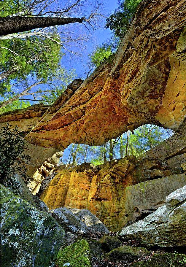 Split Bow Arch - Kentucky Photograph by Jeff Burcher