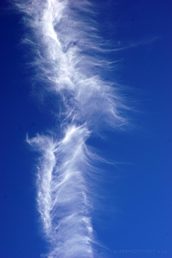 Split Decision as a Cloud Photograph by Kathy Barney