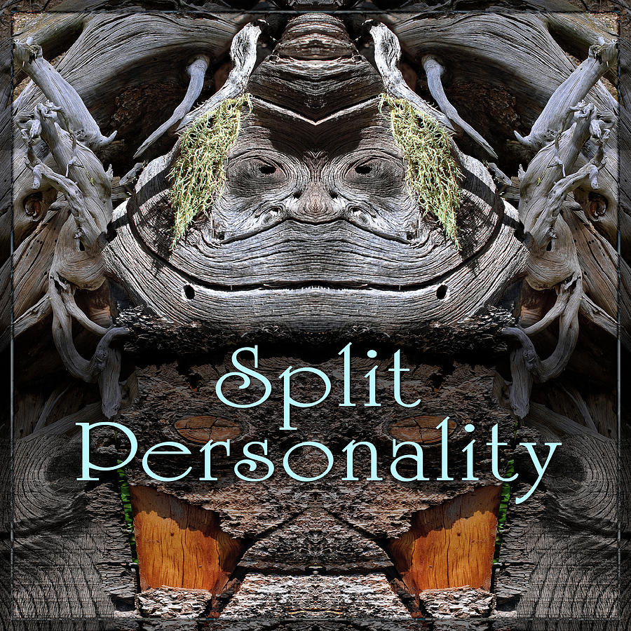 Split Personality Digital Art by Becky Titus
