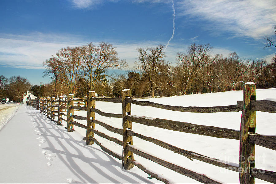 Split Rail Fence Colonial Williamsburg I Photograph by Karen Jorstad
