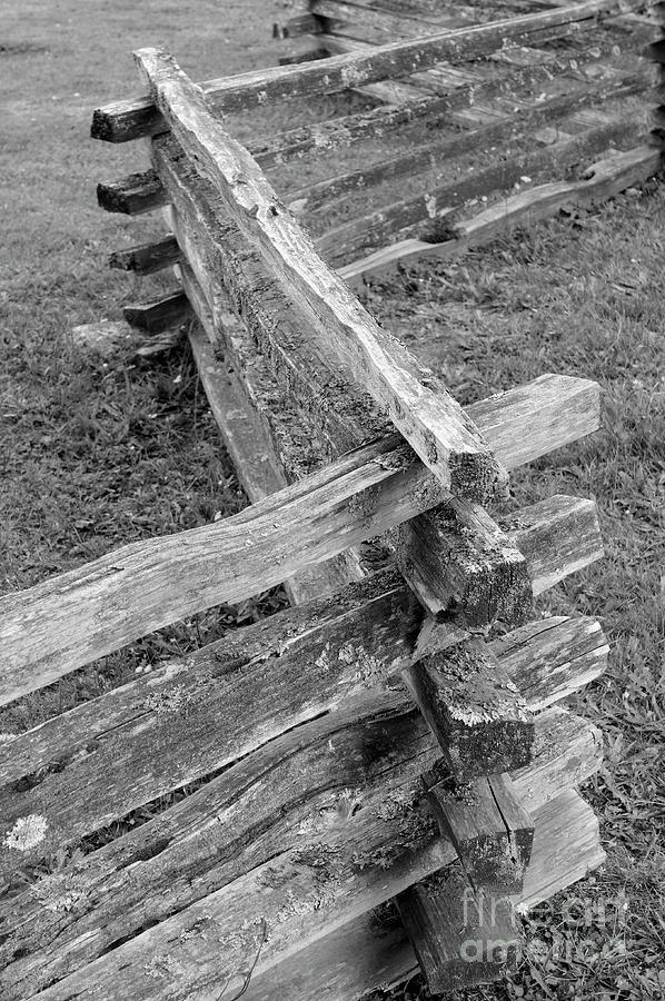 Split Rail Fence Photograph by John  Mitchell