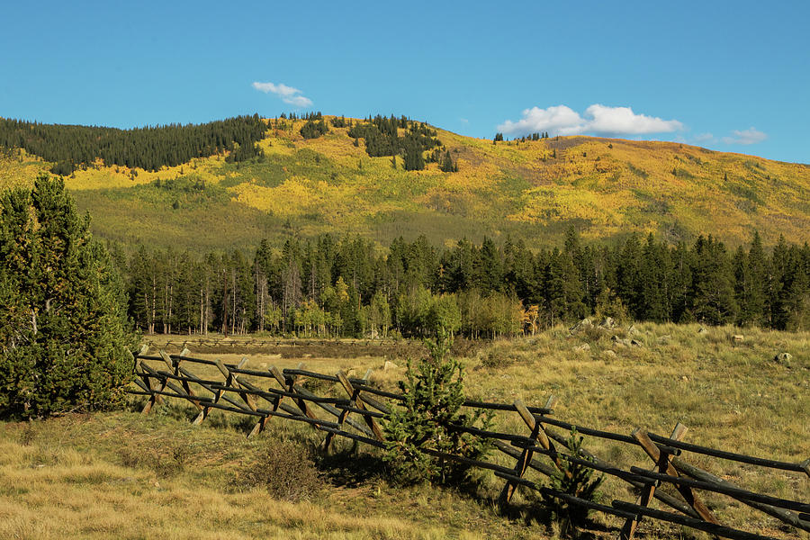 Split Rail Fence on Kenosha Pass Photograph by Lois Lake - Fine Art America