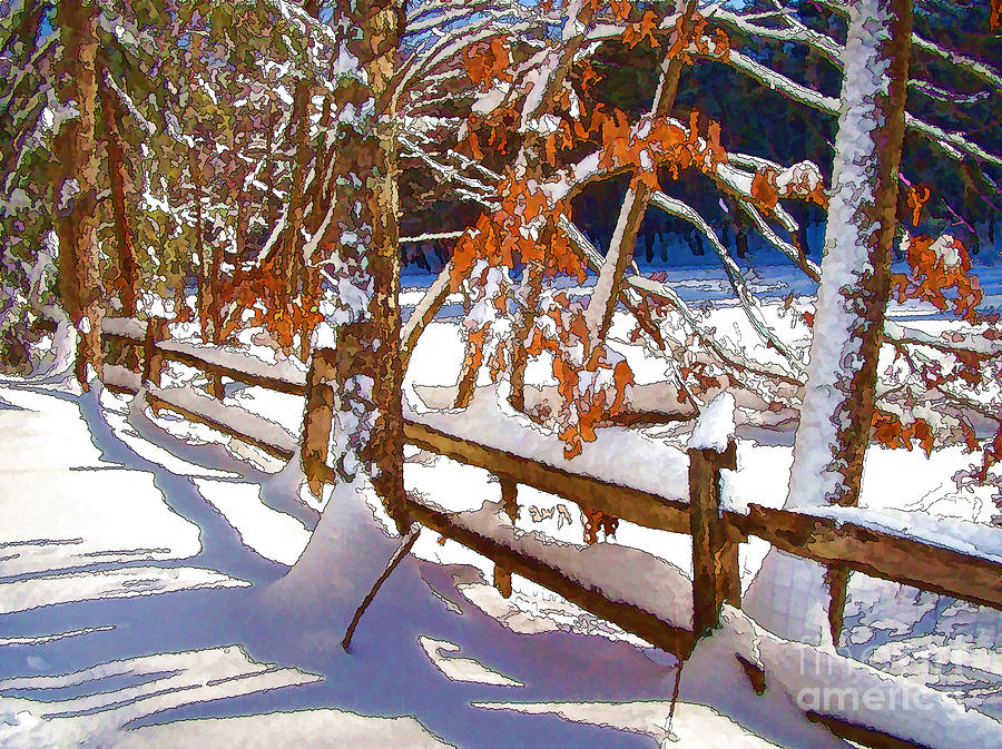 Winter Photograph - Split Rails by Betsy Zimmerli