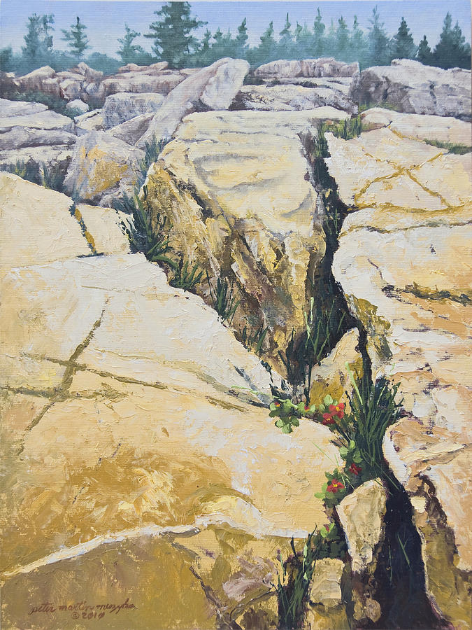 Nature Painting - Split Rocks on Maine Coast by Peter Muzyka