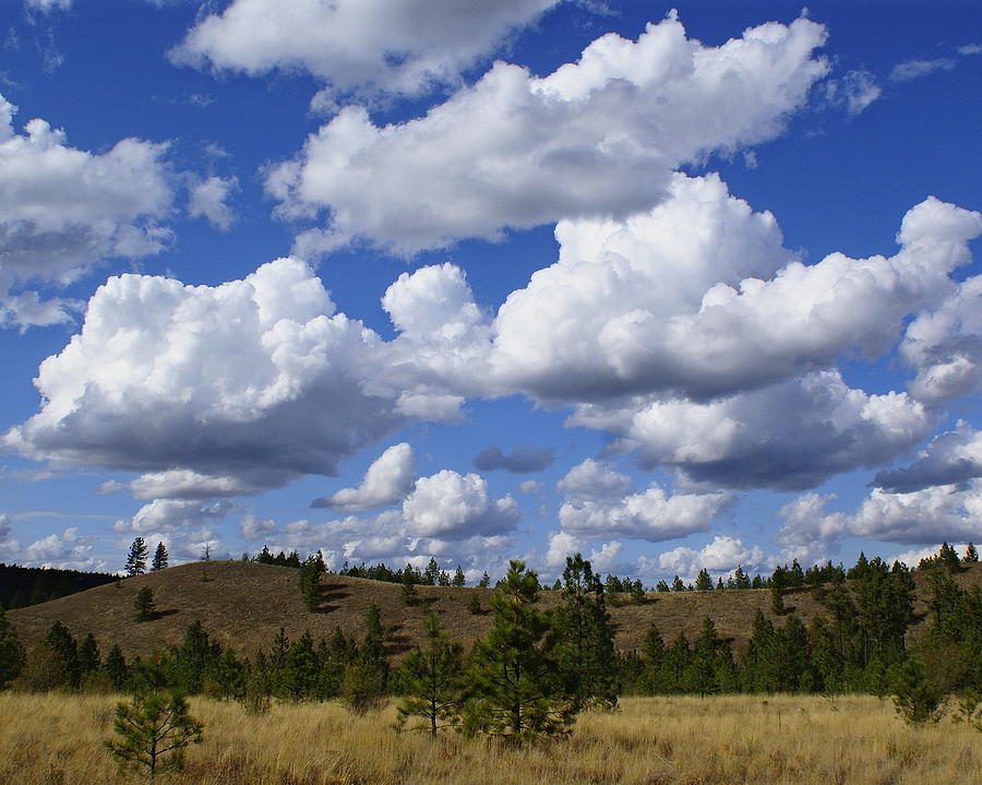 Spokane Cloudscape Photograph by Ben Upham III