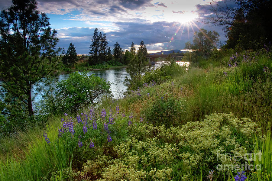 Spokane River Spring Photograph by Idaho Scenic Images Linda Lantzy
