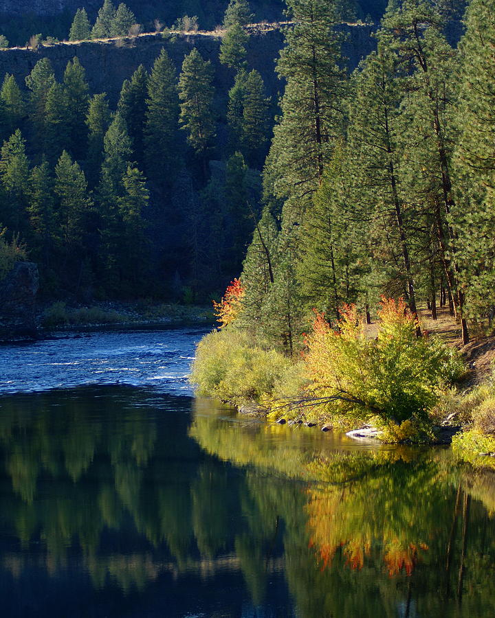 Nature Photograph - Spokane Rivereflections by Ben Upham III