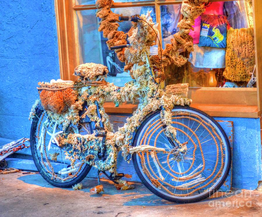 Sponge Bike Photograph by Debbi Granruth