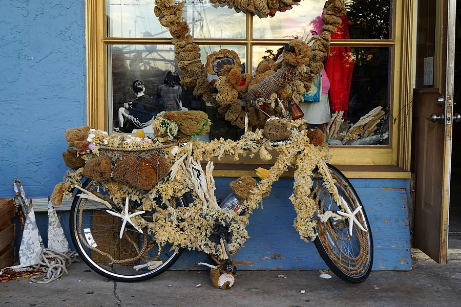 Sponge Bike Photograph by Laurie Perry
