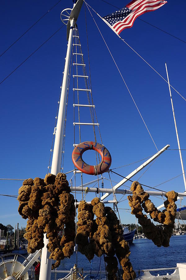 Sponge Boat Photograph by Laurie Perry