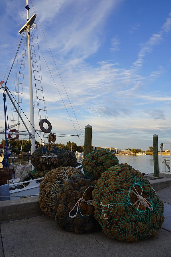 Fish Photograph - Sponge Docks by Laurie Perry
