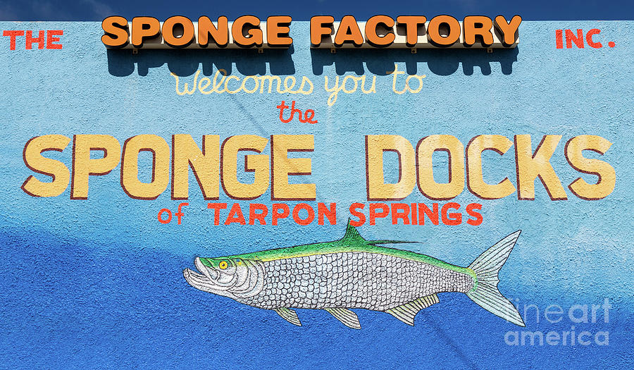 Sponge Factory Mural Photograph by Dawna Moore Photography
