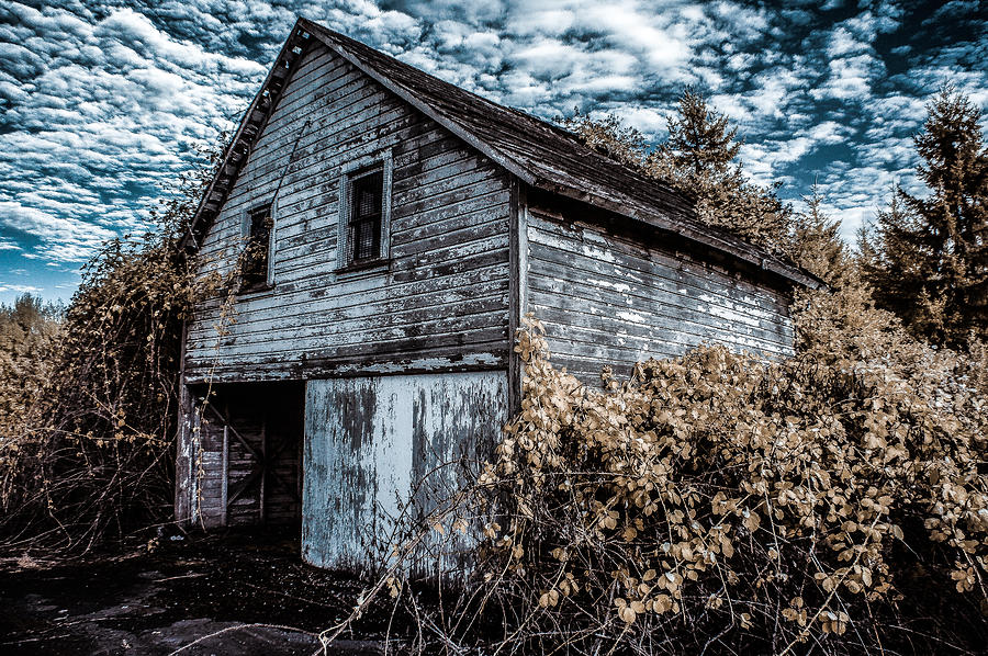 Spooky Barn in IR Photograph by Rubyheart Photography - Fine Art America