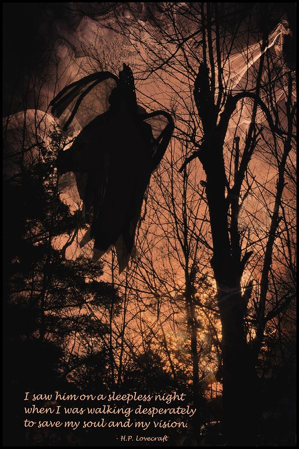 Spooky Encounter Photograph by Phyllis Meinke